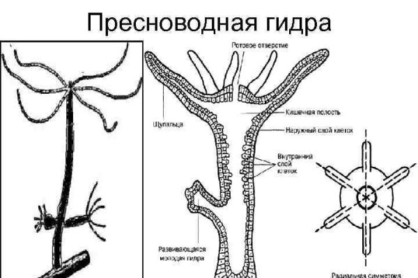 Кракен сайт продаж