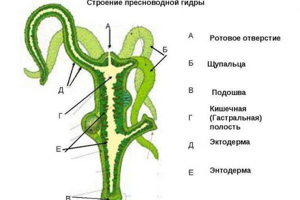 Кракен зеркало gigageek ru