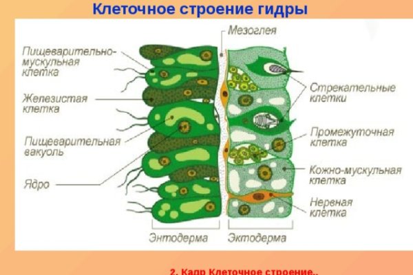 Кракен точка