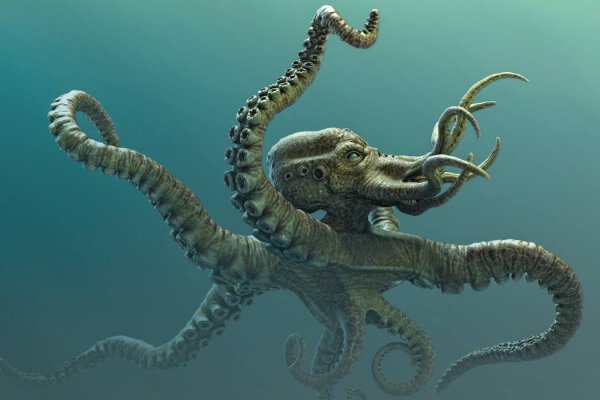 Kraken рабочий